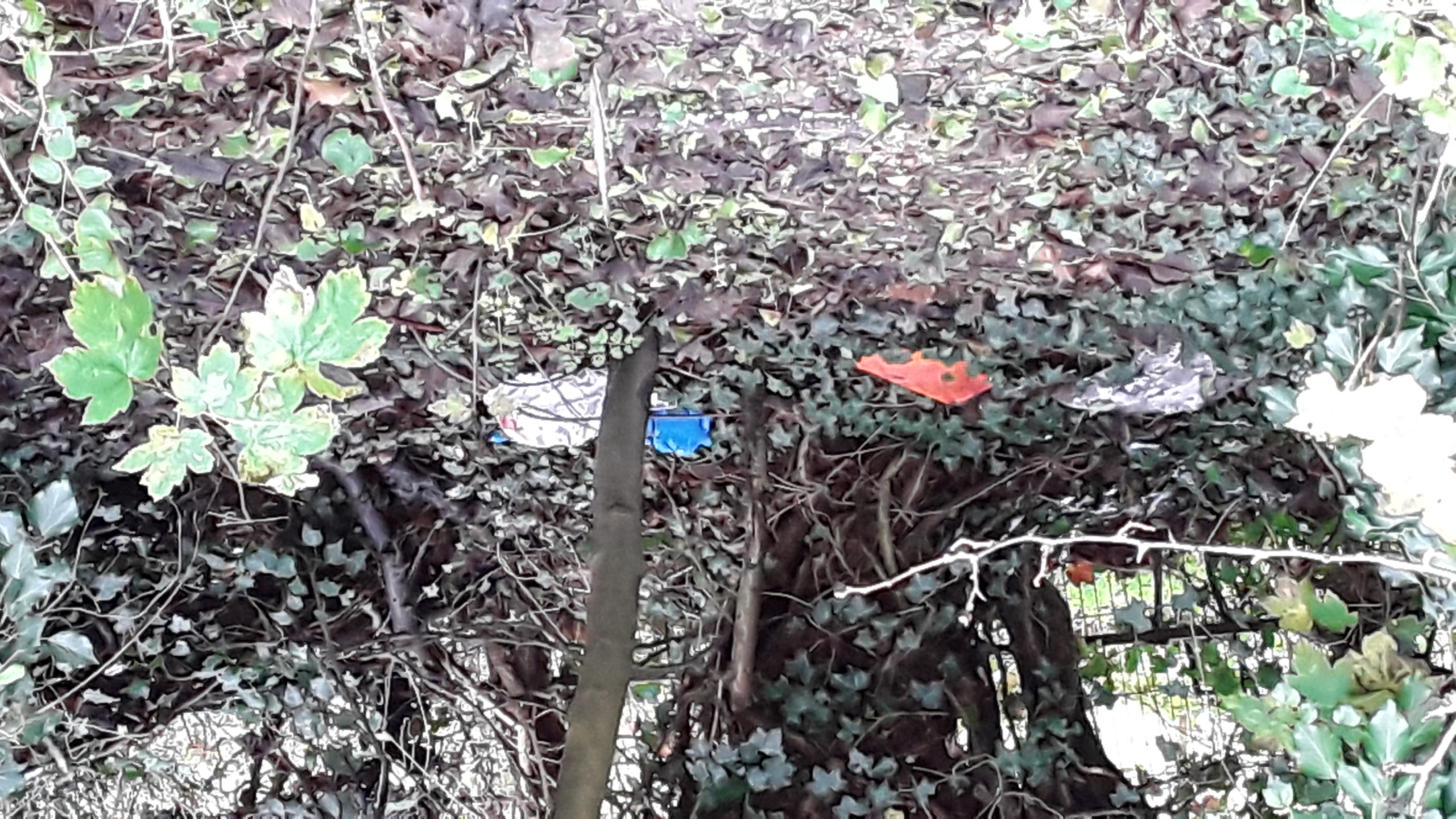  trash at the layby