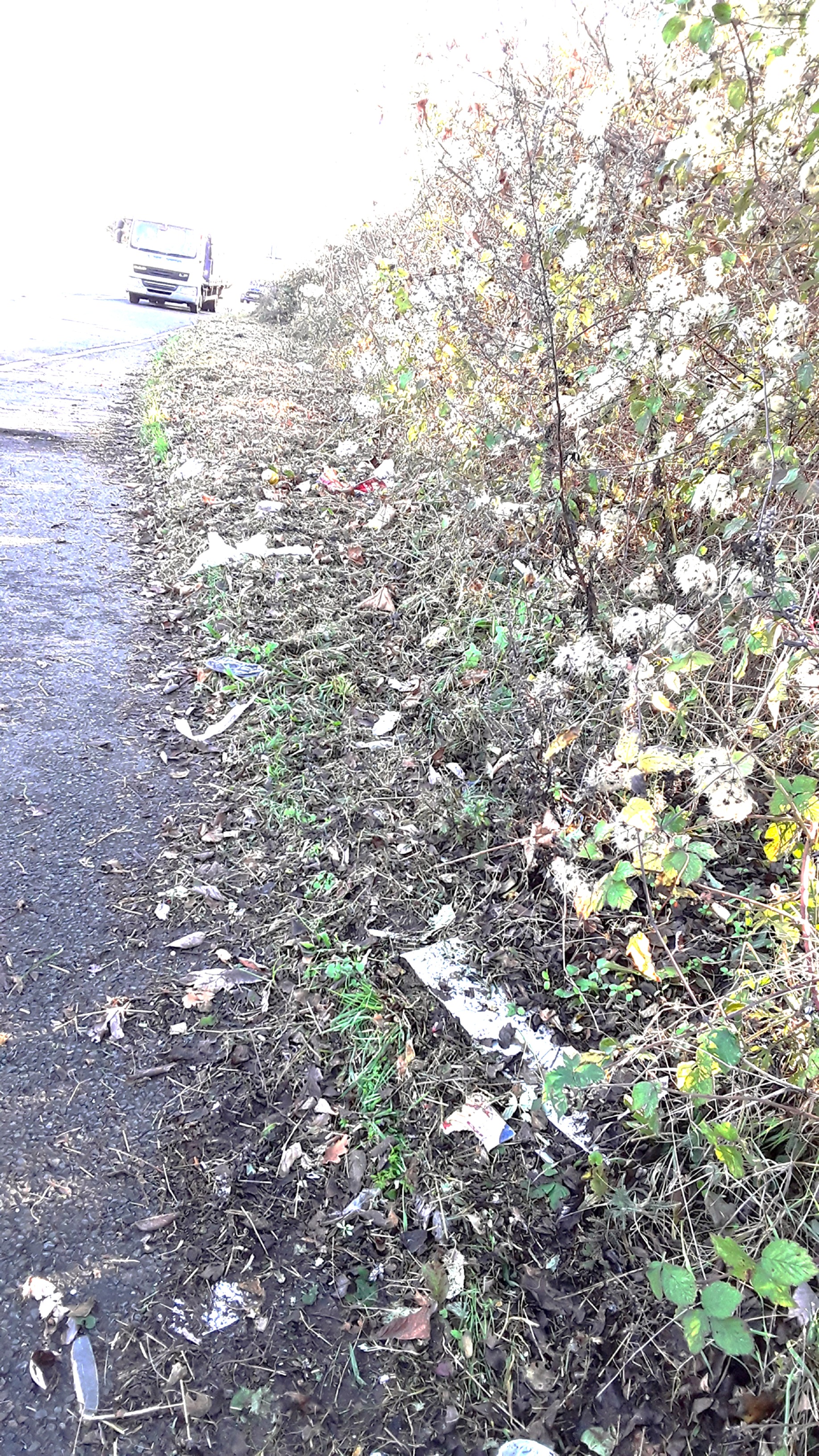 pic of grass cutting on verge on West Kingsdown road
