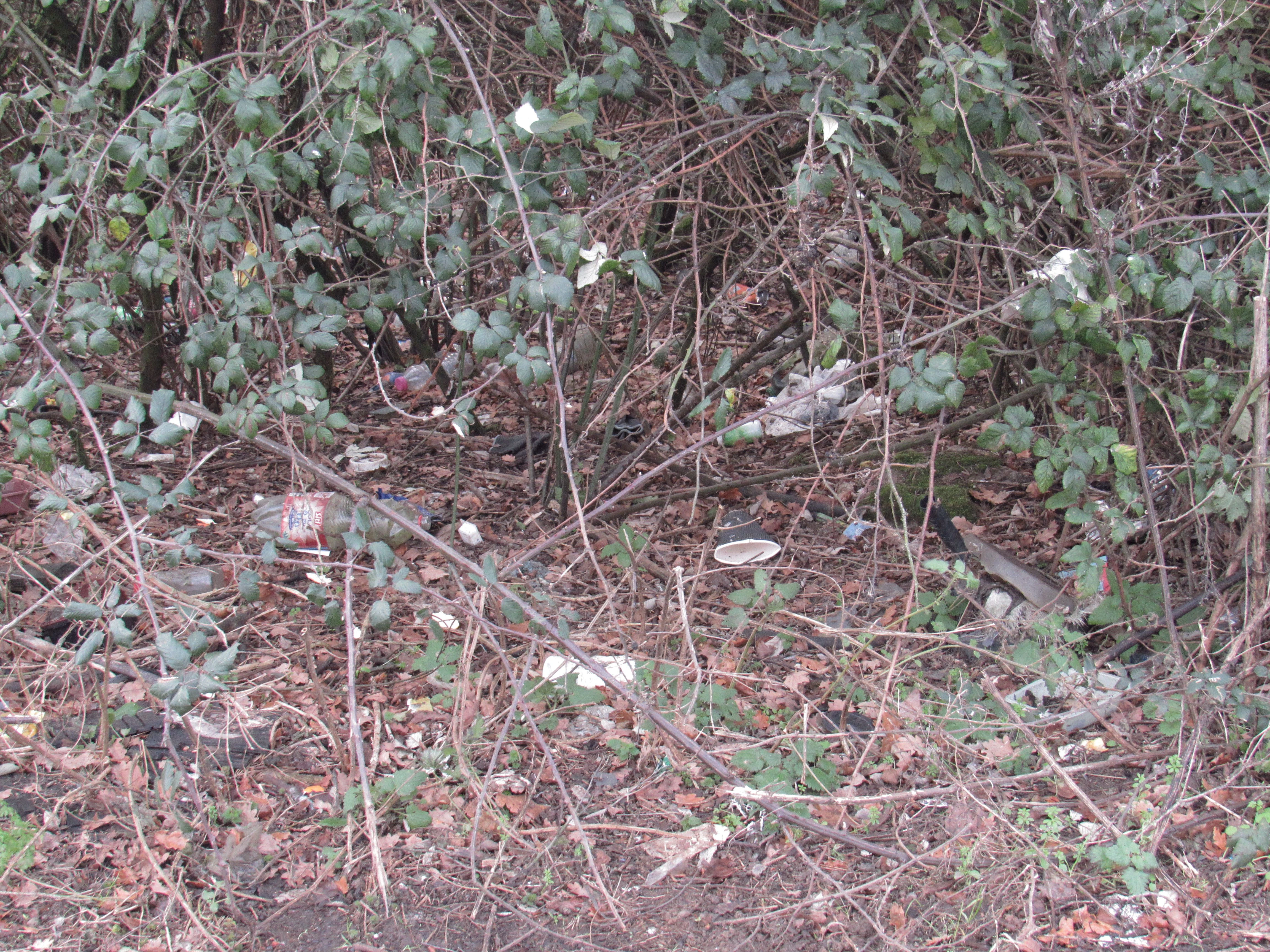 a photo of litter at layby Tunbridge Wells 