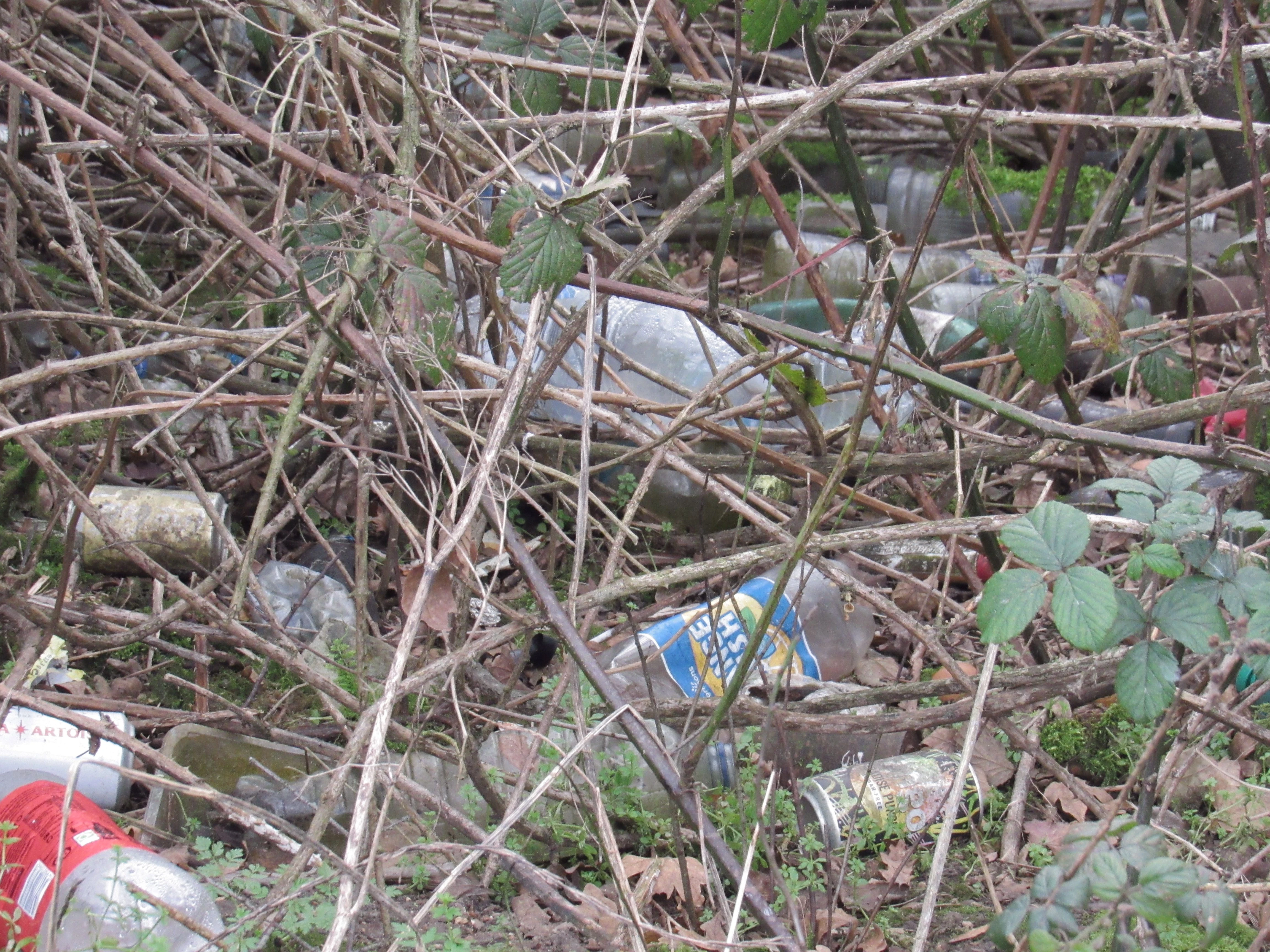 a photo of more litter at layby Tunbridge Wells 