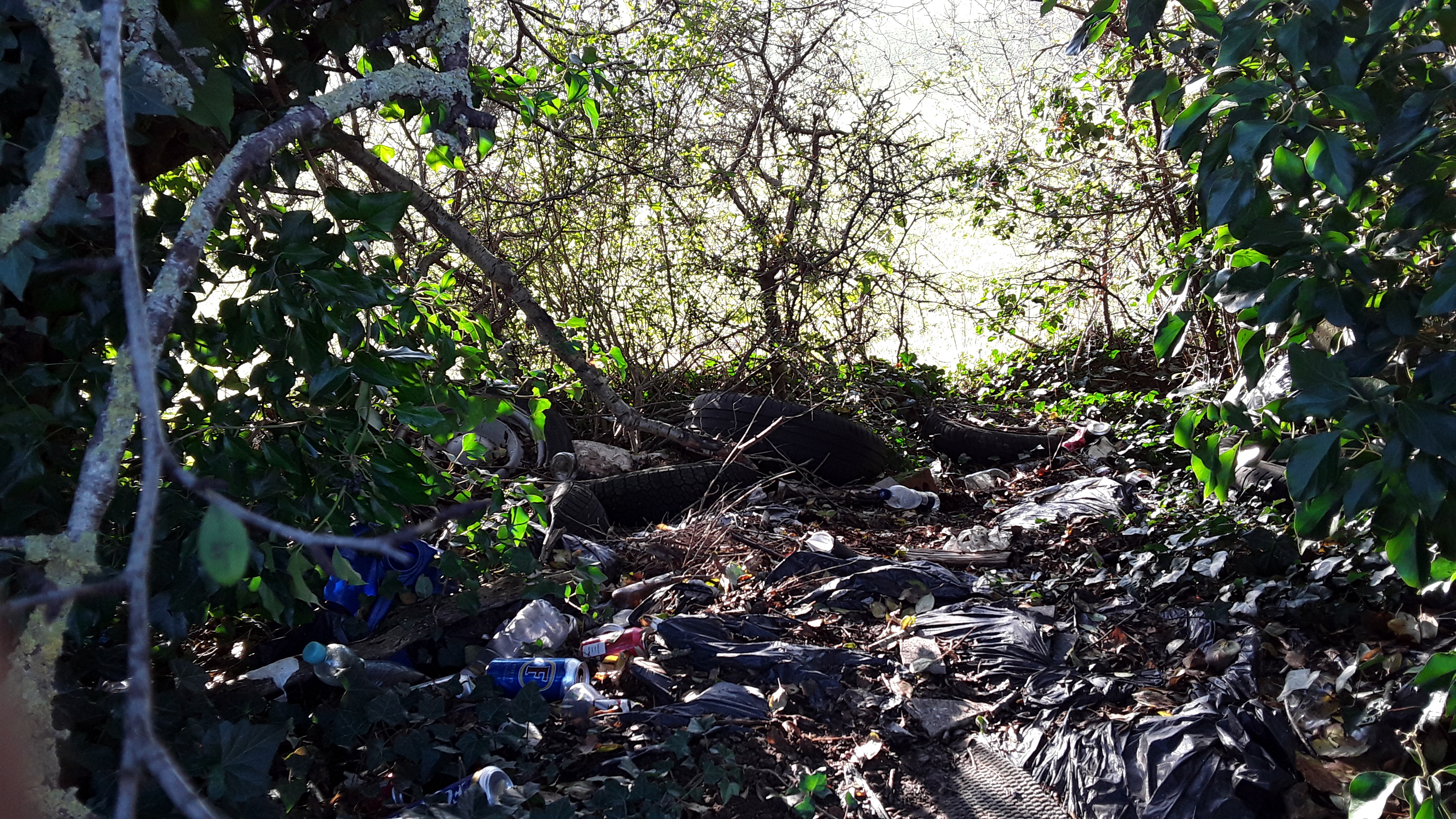 build of trash at the layby, a mini landfill