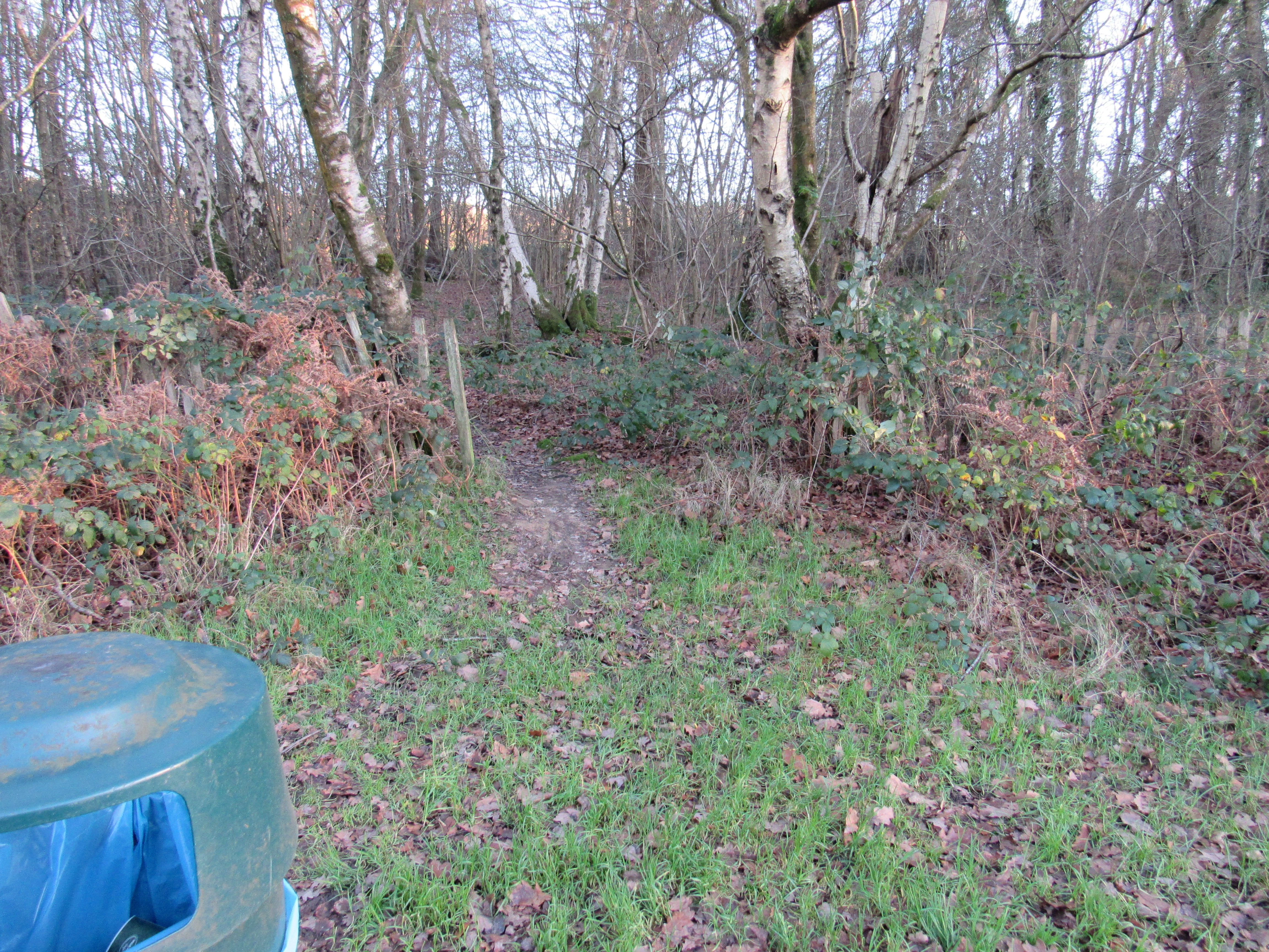 a photo of reflective posts in layby at  Uckfield
