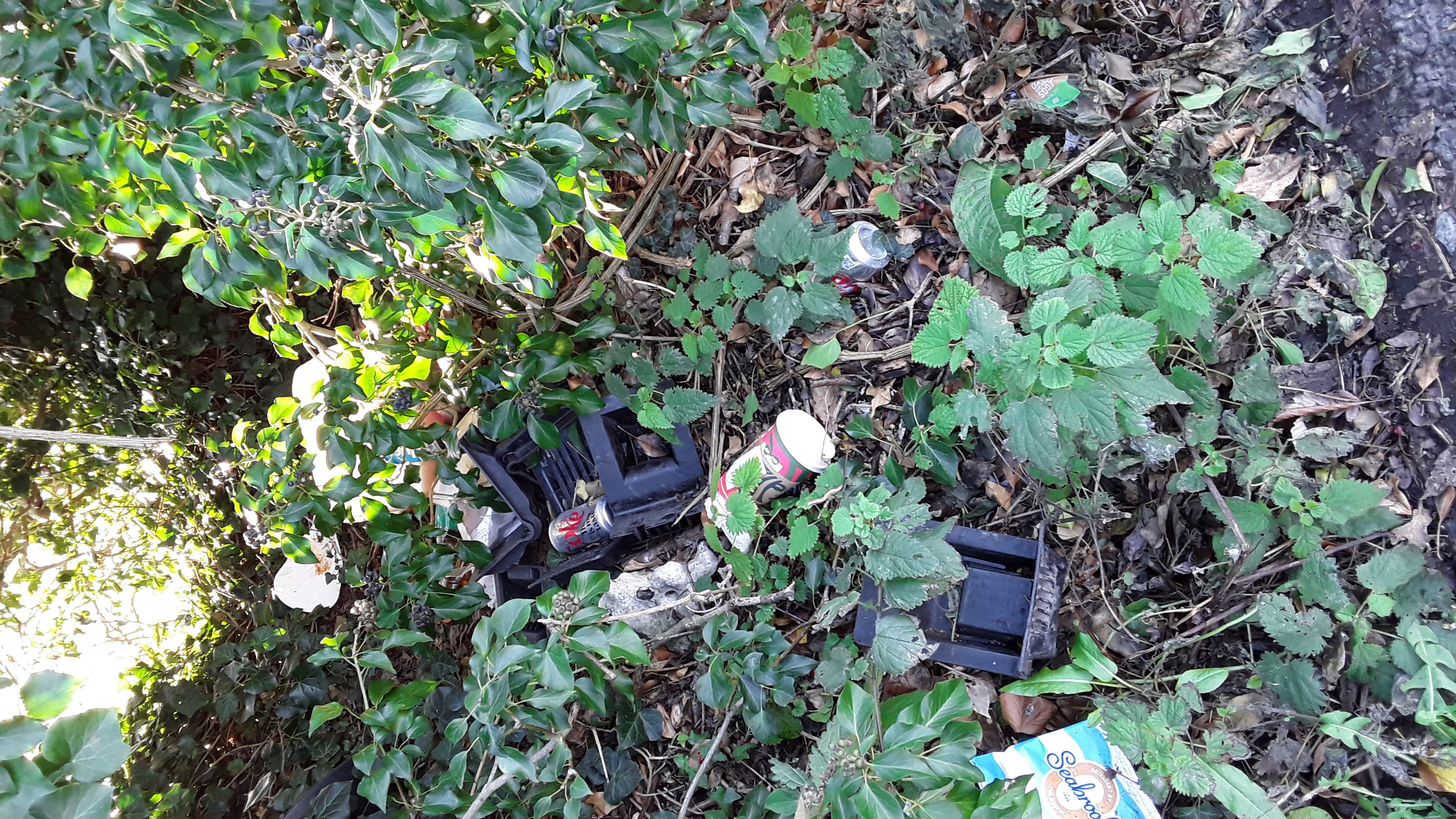 trash at the layby