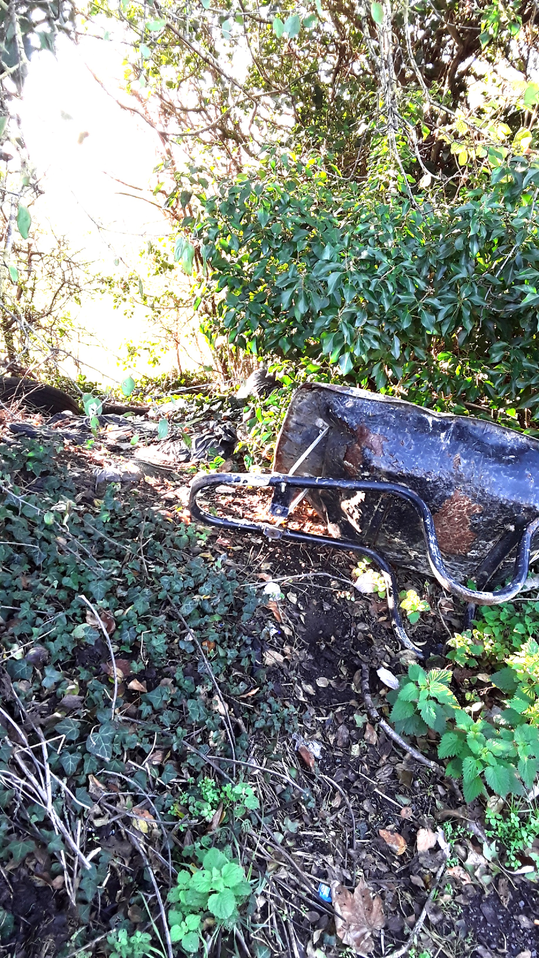 a discarded wheelbarrow at the layby